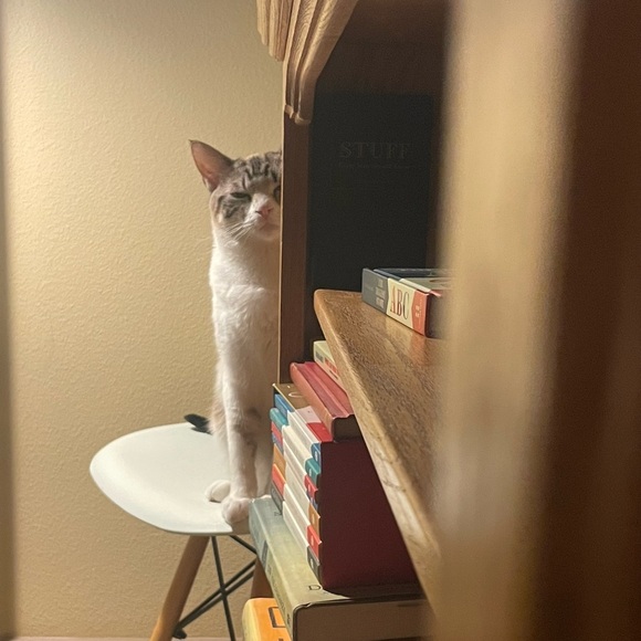 🤗 - Picture 6 of 17